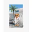 SS26 Beach Towel Poster Filou CLXVIII.