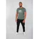 Basic T - vintage green