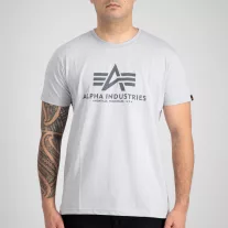 Basic T - pastel grey