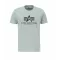Basic T - dusty green