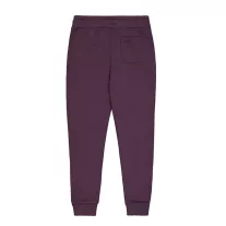 Basic Jogger SL - plum