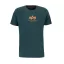 Basic T ML - force green