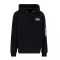 Skylab NASA Hoody - black/green