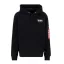 Skylab NASA Hoody - black/green