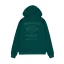 Air Force Hoody - force green