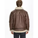 B3 FL - brown B3 FL - brown