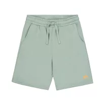 Basic Small Logo II Short - frost green