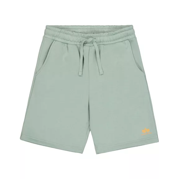 Basic Small Logo II Short - frost green Basic Small Logo II Short - frost green