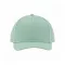 Metal Label Cap - frost green