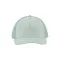 Basic Trucker Cap - frost green