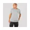 Basic T Small Logo - greyheather