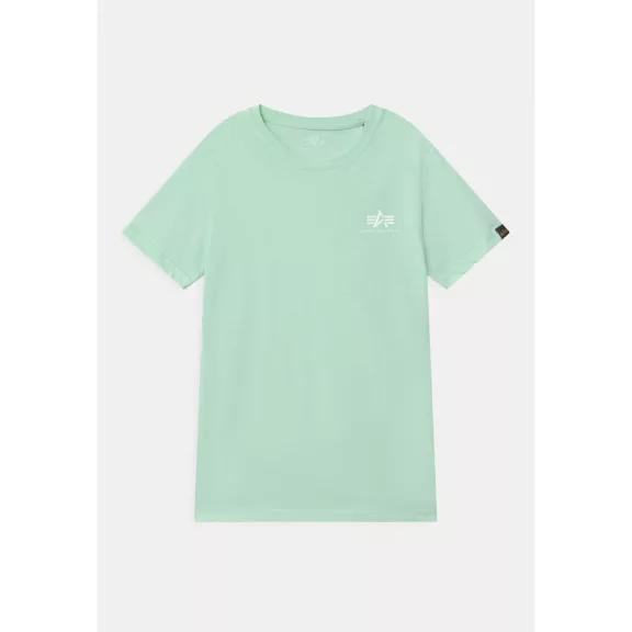 Basic T Small Logo - mint Basic T Small Logo - mint