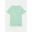 Basic T Small Logo - mint
