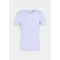 Basic T Small Logo - light blue