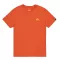 Basic T Small Logo - iron red