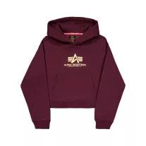 Basic Big Logo Puff Print Hoodie Women - dark cherry