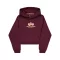 Basic Big Logo Puff Print Hoodie Women - dark cherry