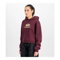 Basic Big Logo Puff Print Hoodie Women - dark cherry