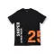SW 25 T - black