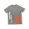 SW 25 T - grey
